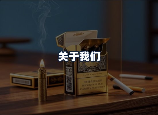 关于我们